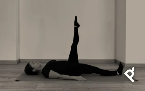 THE ONE LEG CIRCLE (CÍRCULOS CON UNA PIERNA)
