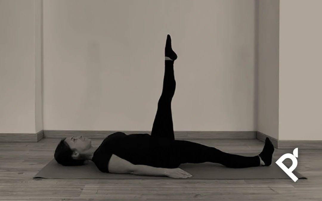 THE ONE LEG CIRCLE (CÍRCULOS CON UNA PIERNA)