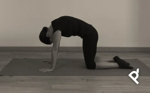 THE CAT STRETCH (ESTIRAMIENTO DEL GATO)