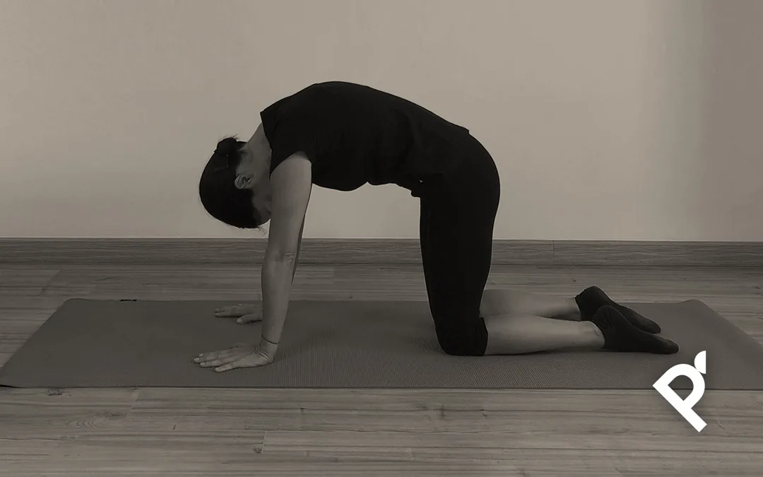 THE CAT STRETCH (ESTIRAMIENTO DEL GATO)