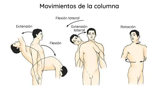 Esquema de movimientos de la columna