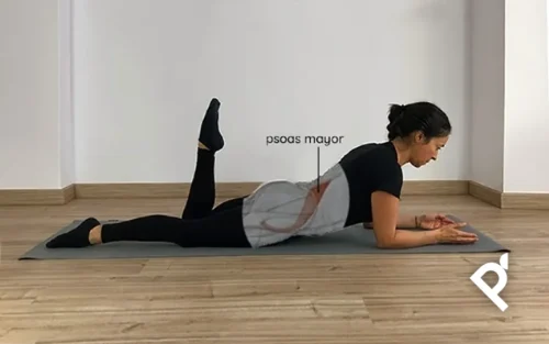 EL PSOAS EN PILATES