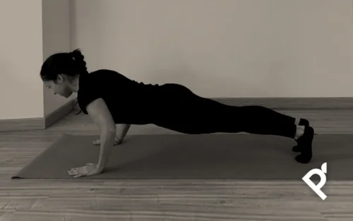 THE PUSH UP (FLEXIÓN)