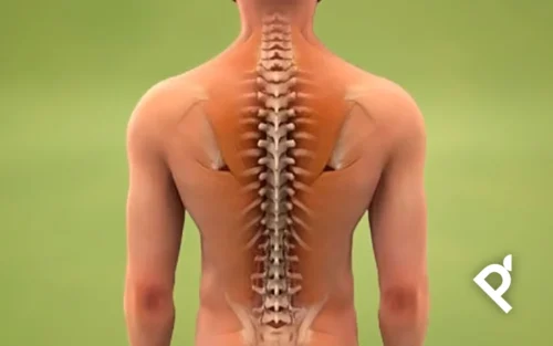 PILATES Y DOLENCIAS DE COLUMNA